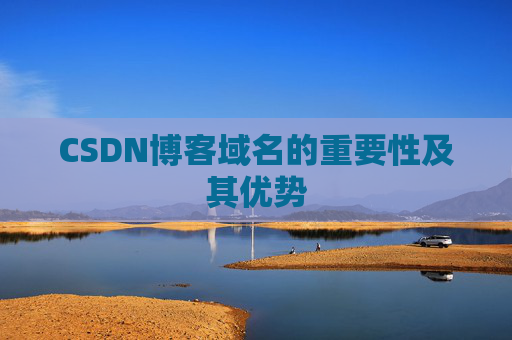 CSDN博客域名的重要性及其优势
